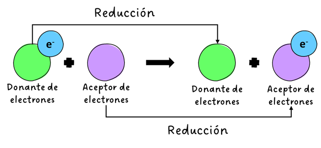 Proceso de reducción, StudySmarter Originals