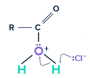 Acylation, Acylation de l'eau mécanisme, StudySmarter