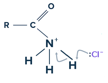 Acylation Mécanisme d'acylation chlorure d'acyle ammoniacal StudySmarter