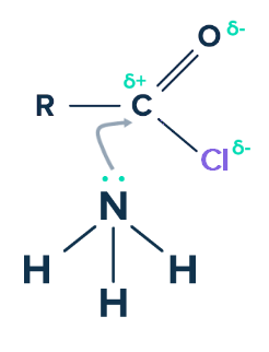 Acylation Mécanisme d'acylation chlorure d'acyle ammoniacal StudySmarter