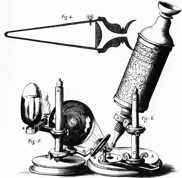 Robert Hooke Mikroskop StudySmarter