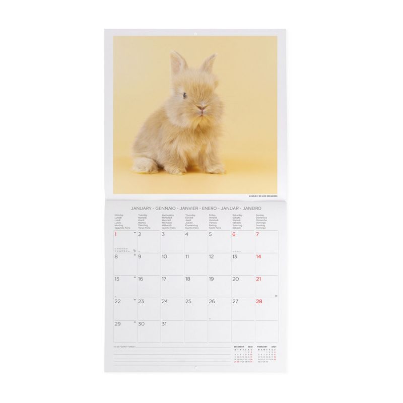 Legami Kalender 2024 Honey Bunny 30x29 cm - Photo Collection