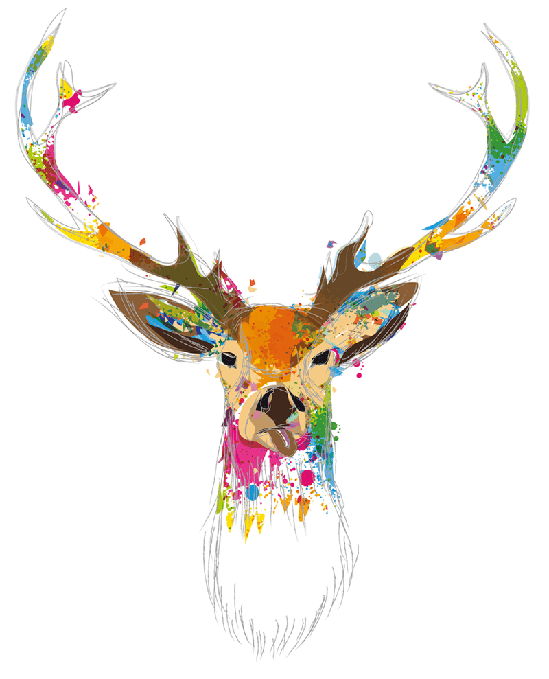 Sei frech, wild und wunderbar