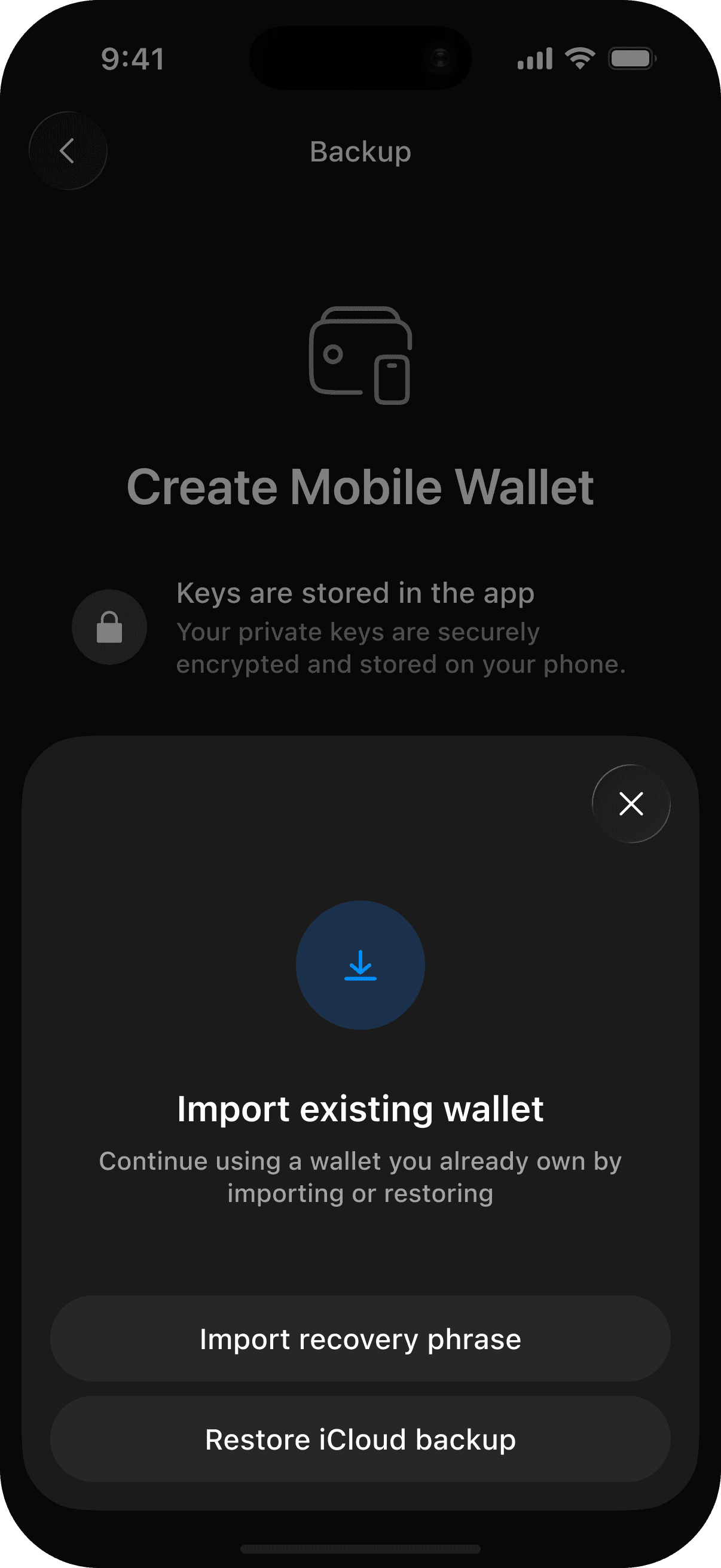 Import existing wallet (1) (1).png