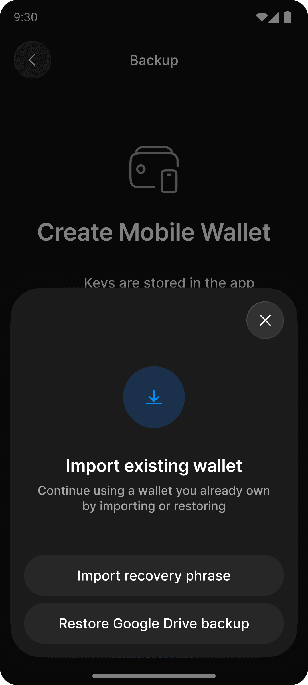 Import existing wallet (5) (1).png