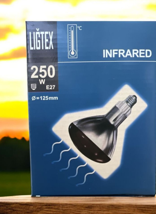LIĞTEX 250W İNFARED ISITICI AMPÜL E27 DUY 