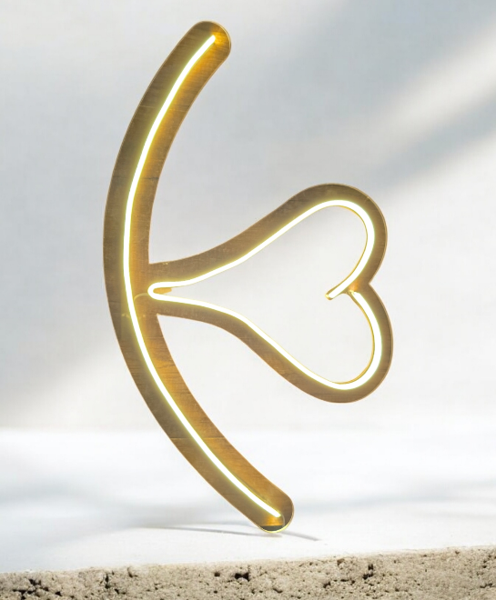 NEON LEDLİ PANO KALPLİ ANİMASYONLU 50X30