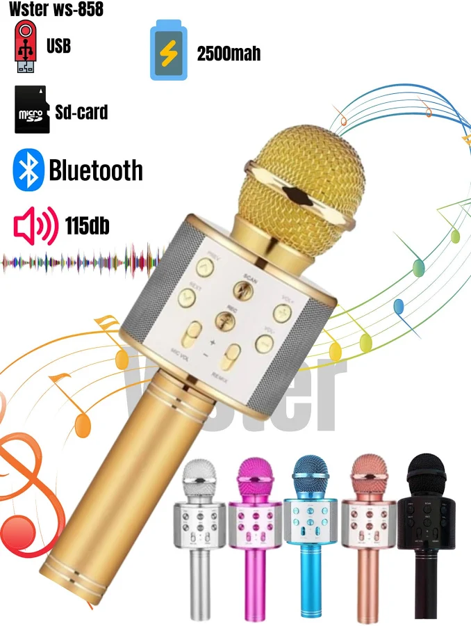 HAND WS-858 HELD KTV KARAOKE MİKROFON 