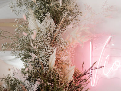 ghost orchid photo 2