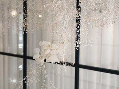 sphere collective photo 2