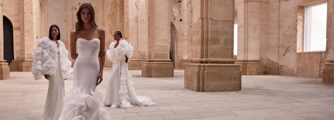 milla nova brand photo 5