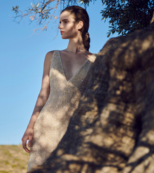 amaryllis dress photo 1