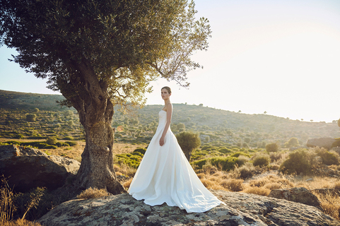 delphine & cressida cape dress photo 2