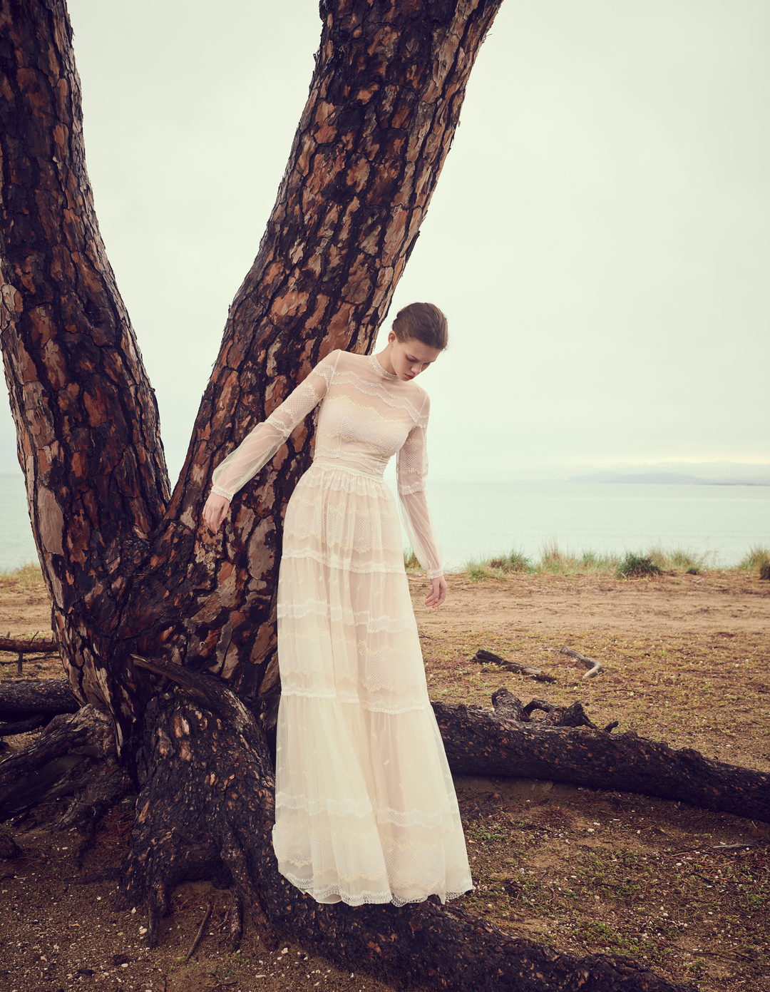 callianassa dress photo