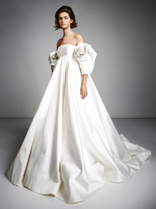 rose sleeve empire gown  dress photo 2