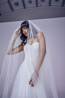 precious dress photo 2