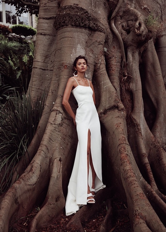 summer garden 2021 photo