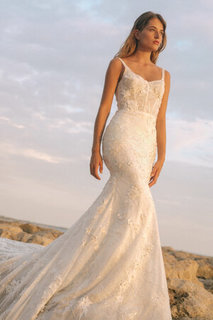 zinnia dress photo 1