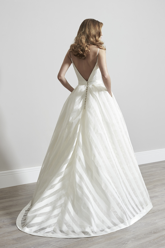 enchanted collection photo