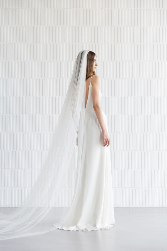 2021 collection photo