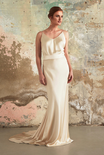 elsa gold dress photo 1