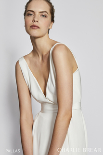 pallas dress photo 2