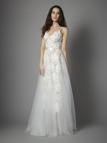 hayley over skirt  dress photo