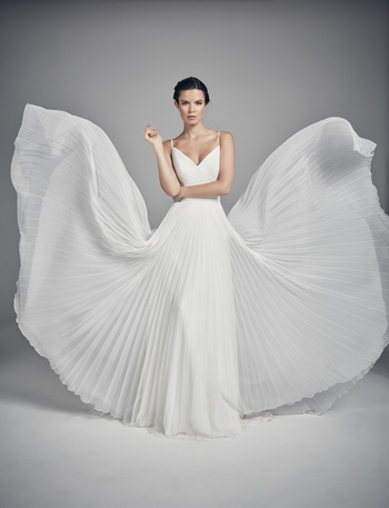 butterfly dress photo