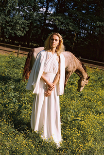 flying high dress photo 1