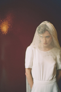 caprice dress photo 4