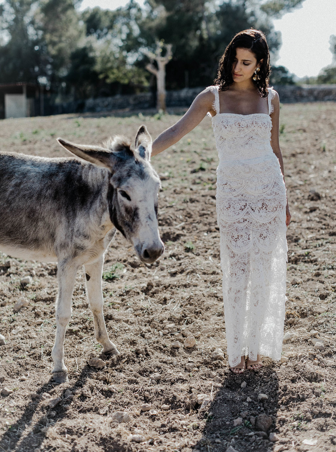 dress marta dress photo