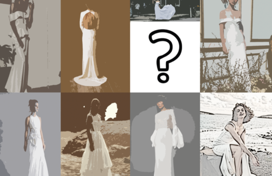 your first bridal dress consultation  inspiration photo