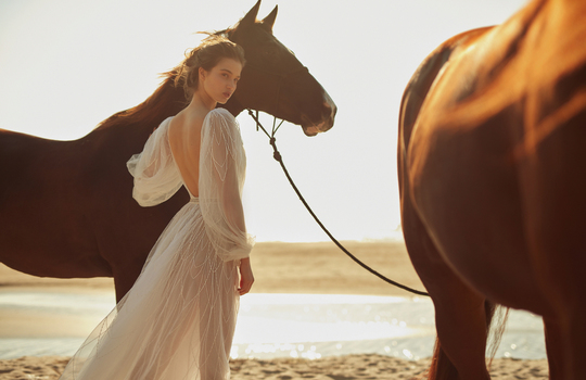 dana harel's latest collection  inspiration photo 3