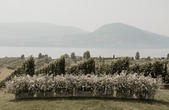 inside brooklynn & ben's big day  inspiration photo 10