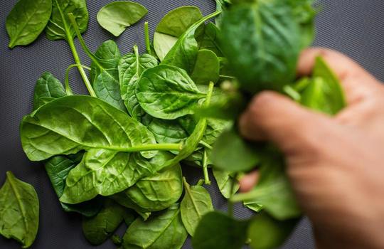 diy your skin to perfection  inspiration photo 3