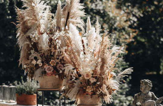 ethereal alexandra grecco for marlous  inspiration photo 4