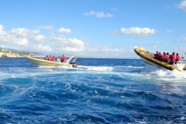 speedboat mallorca