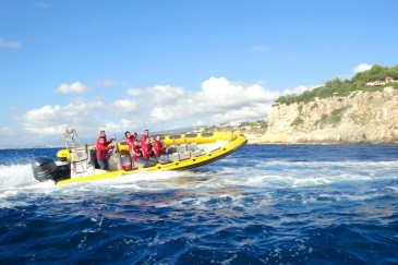 speedboot tour auf mallorca