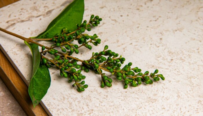 Image Sfeer moodboards 47 - TEBE Tegelgroothandel 