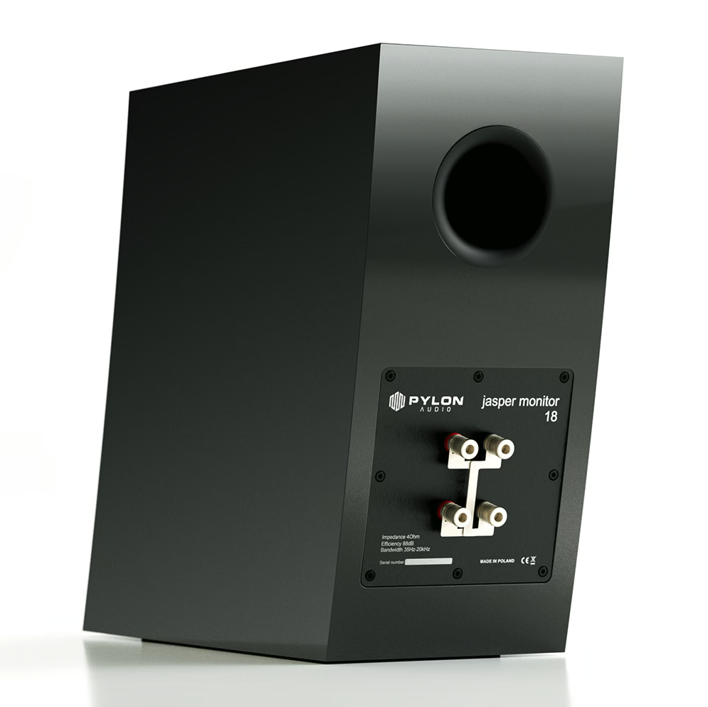 Pylon Audio Jasper Monitor 18 ozvučnica