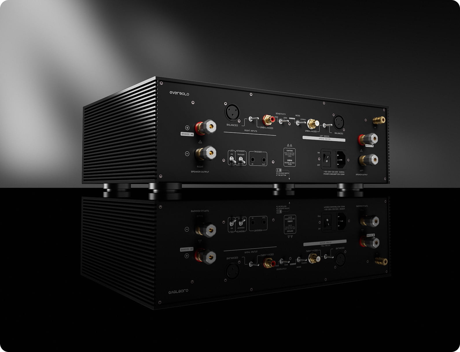 Eversolo AMP-F8 zadný panel