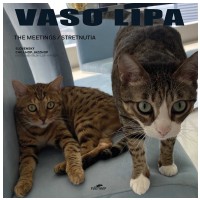 VINYL Vaso Lipa - The Meetings / Stretnutia LP