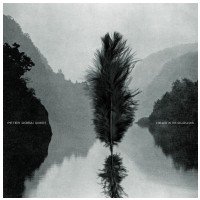 VINYL PETER DOBAI Quintet -  Head in the clouds