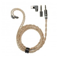 FiiO LC-RE Pro 2025
