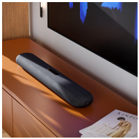 Bluesound PULSE CINEMA mini Černá