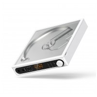 FiiO DM15 R2R Bílá