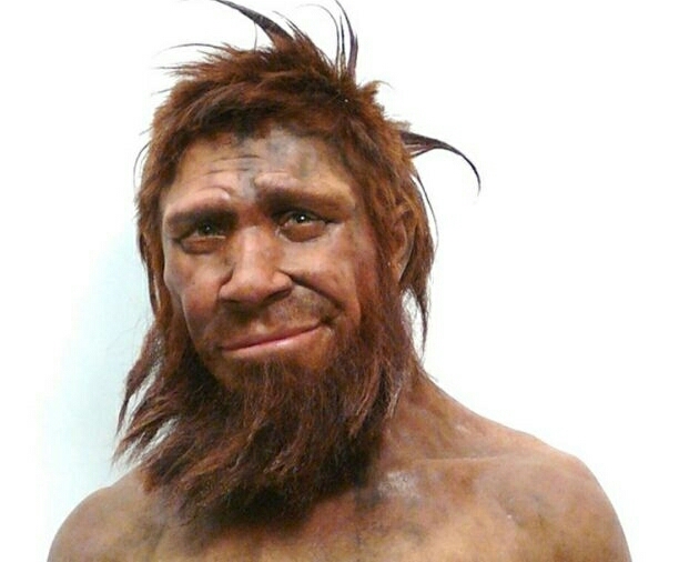 Tarixdə yaşayan bütün insan növləri və adlarının mənası