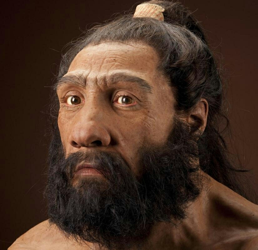 Tarixdə yaşayan bütün insan növləri və adlarının mənası