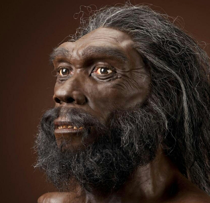 Tarixdə yaşayan bütün insan növləri və adlarının mənası