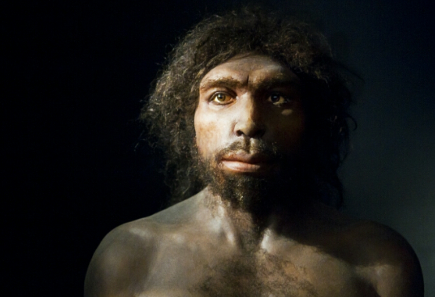 Tarixdə yaşayan bütün insan növləri və adlarının mənası